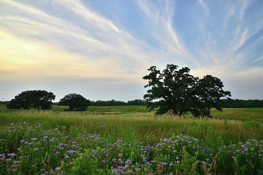 Sunset at Silver Creek Prairie Photograph by Ray Mathis