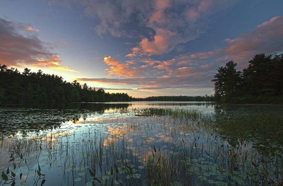 Sunset at Somes Pond Photograph by Juergen Roth