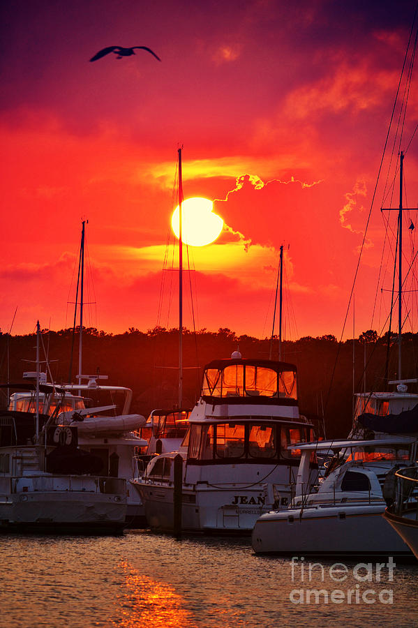 Sunset at Southport Marina Photograph by Kelly Nowak