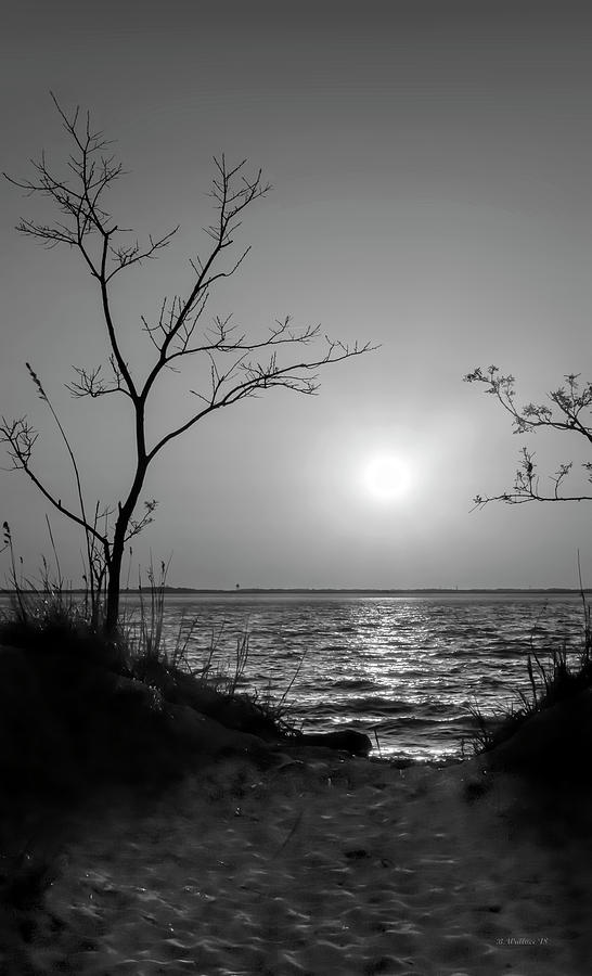 Sunset At Terrapin Nature Park Grayscale Photograph by Brian Wallace