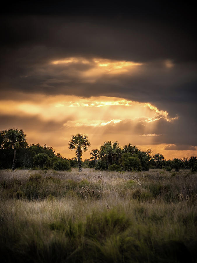 Sunset Photograph - Sunset at the camp by Scott Mullin