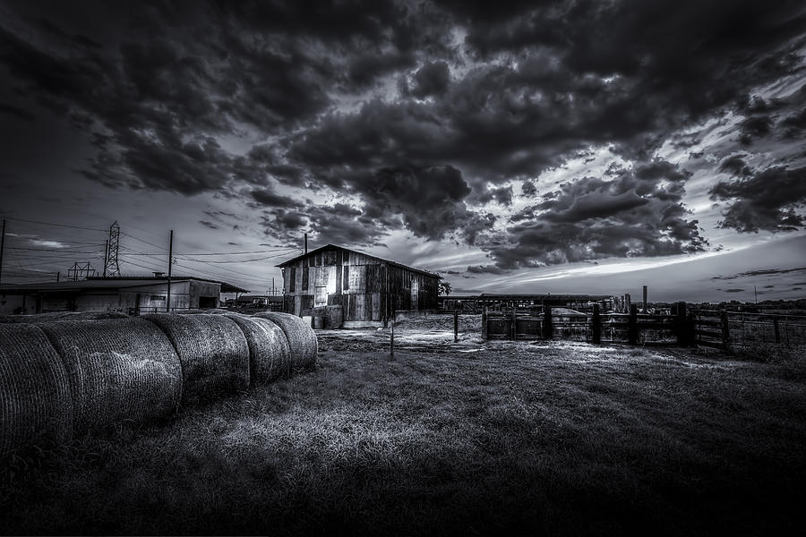 Sunset At The Dairy - BW Photograph by Marvin Spates