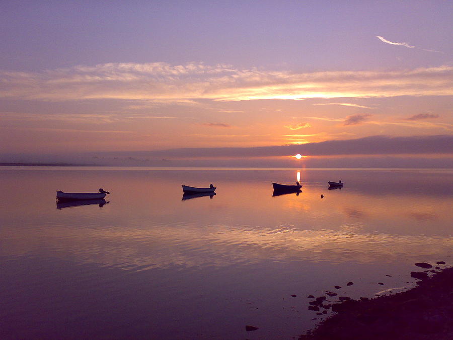Sunset at the Estuary Photograph by Martina Fagan