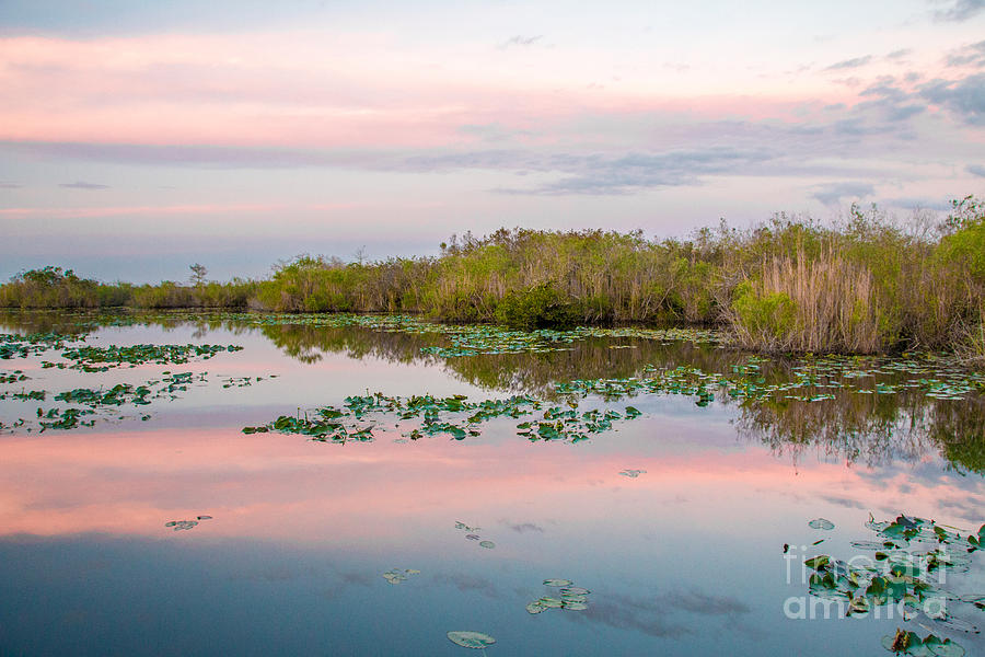 Sunset at the Everglades National Park II Photograph by Amanda Mohler
