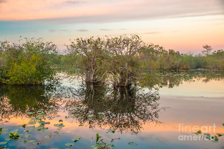 Sunset at the Everglades National Park III Photograph by Amanda Mohler
