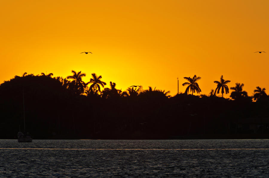 Sunset at the Intracostal Photograph by Wolfgang Stocker