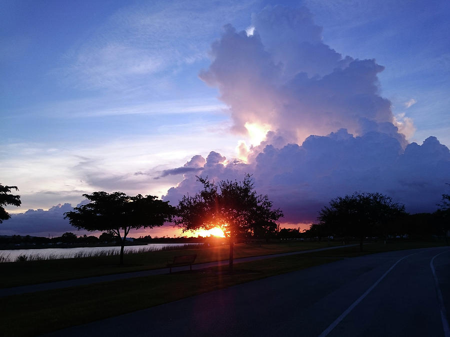 Sunset At The Park in Miami Florida Photograph by Patricia Awapara