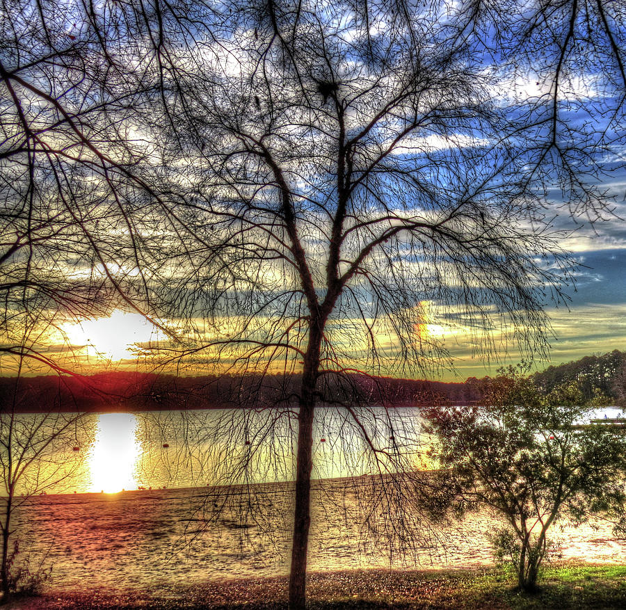 Sunset At The Park Digital Art by Kathleen Illes