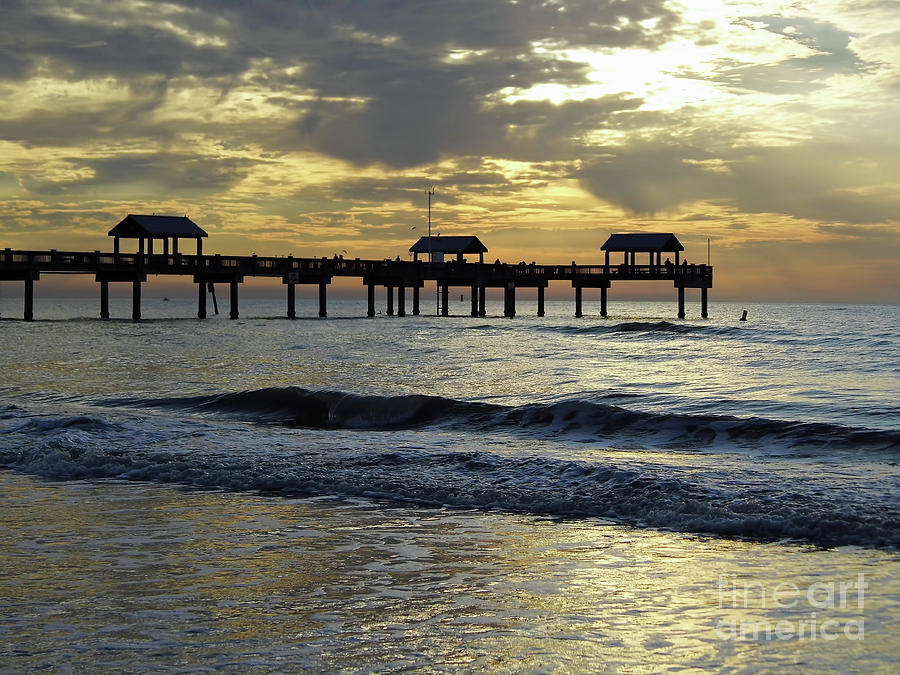 Sunset Photograph - Sunset AT The Pier 60 by D Hackett