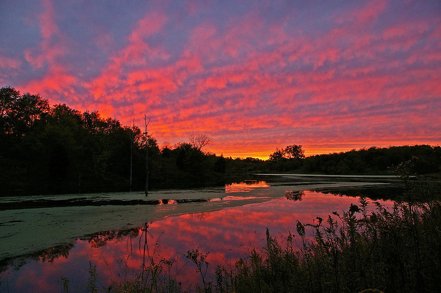 Sunset at the pond Photograph by Ulrich Burkhalter