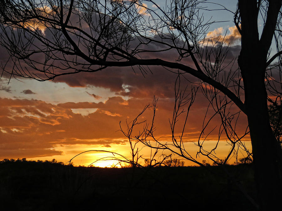 Sunset at Uluru Photograph by Helaine Cummins