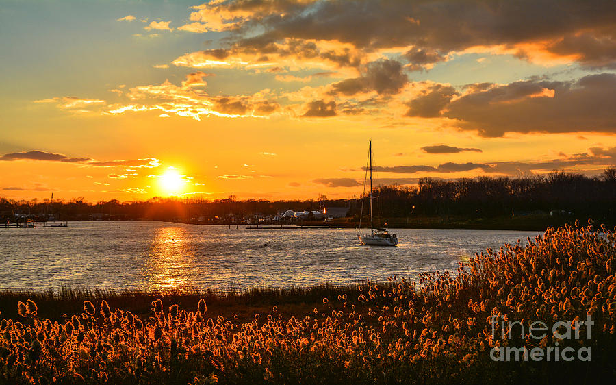 Sunset at Warwick Cove Photograph by Lisa Kilby