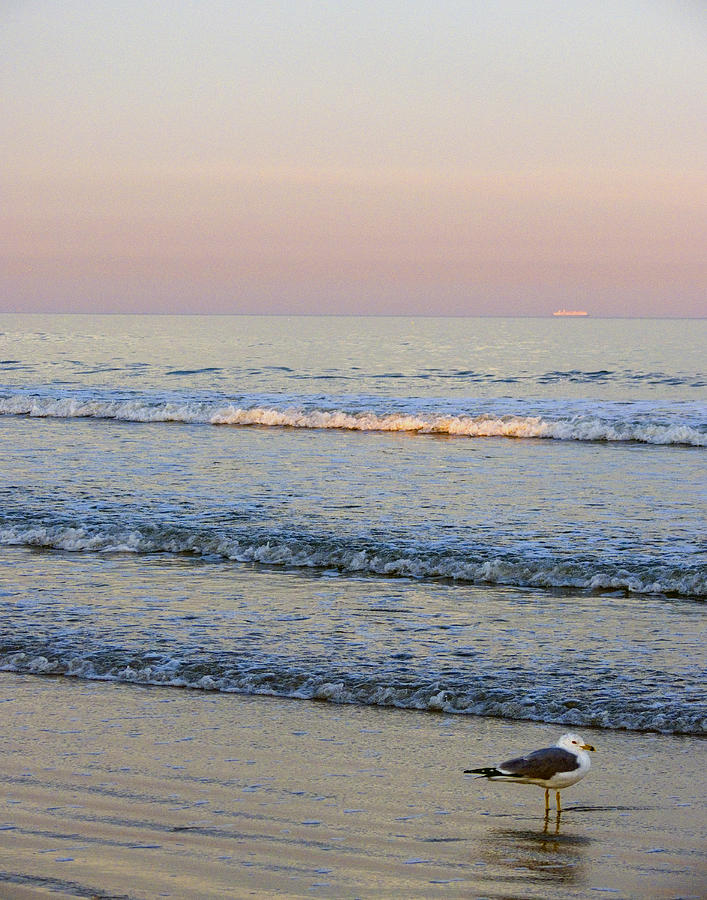 Sunset Atlantic Beach Florida Photograph by Ann Tracy