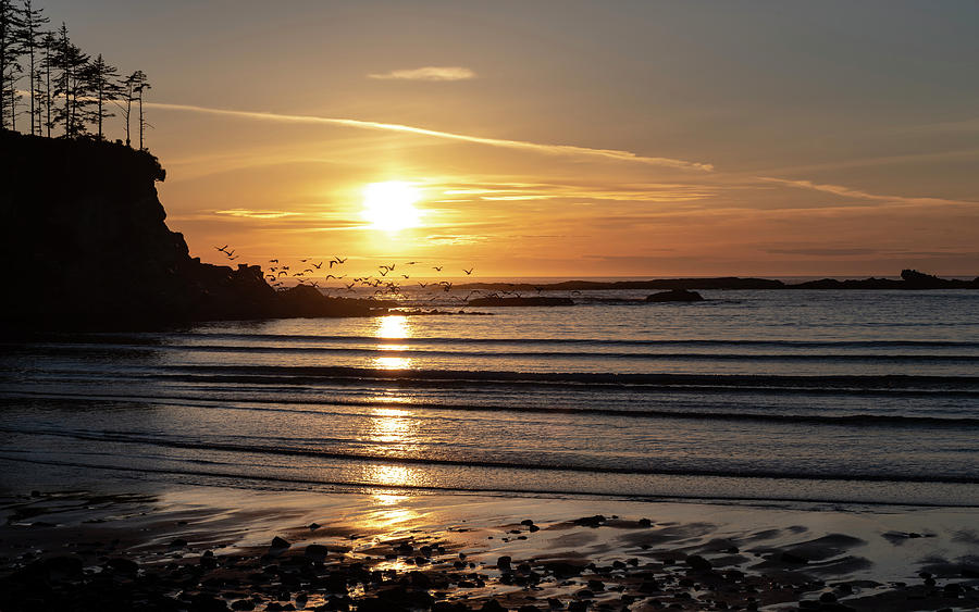 Sunset Bay Moments Photograph by Steven Clark