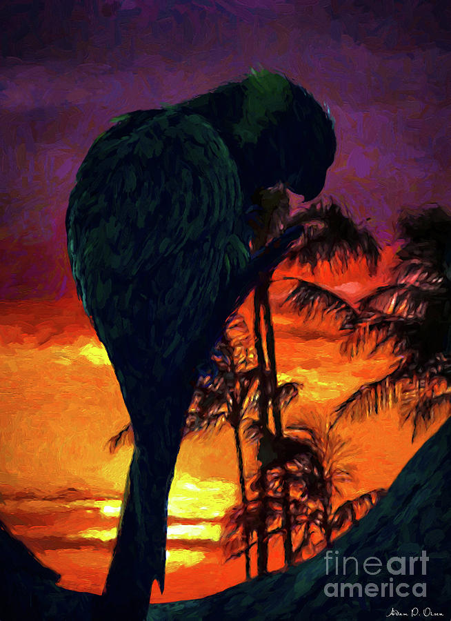 Parrot Painting - Sunset Beach by Adam Olsen