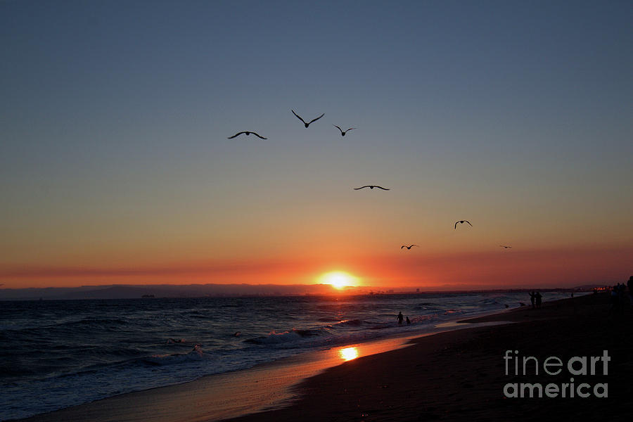 Sunset Beach CA Photograph by Afrodita Ellerman