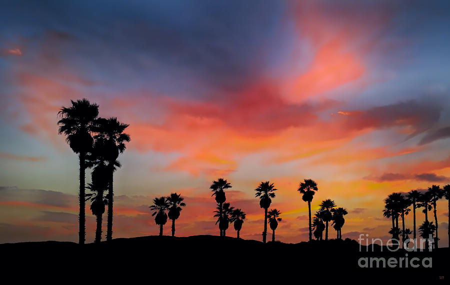 Sunset Beach Photograph by David Millenheft
