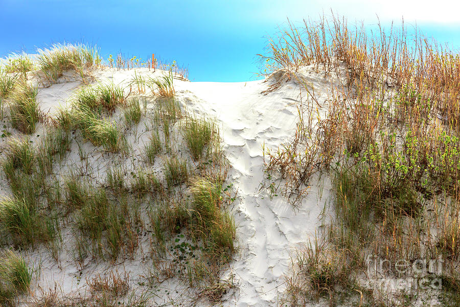 Sunset Beach Dune Path Photograph by John Rizzuto