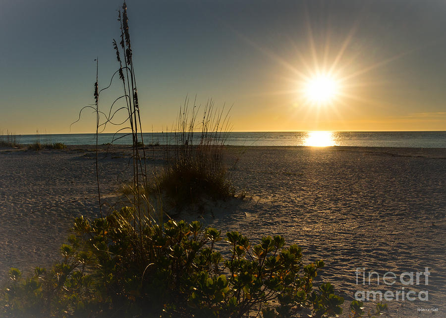 Sunset Beach Photograph by Rebecca Hiatt