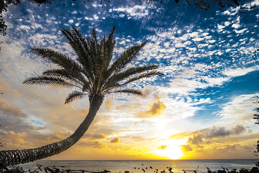 Sunset Beach Spots  Photograph by Leonardo Dale