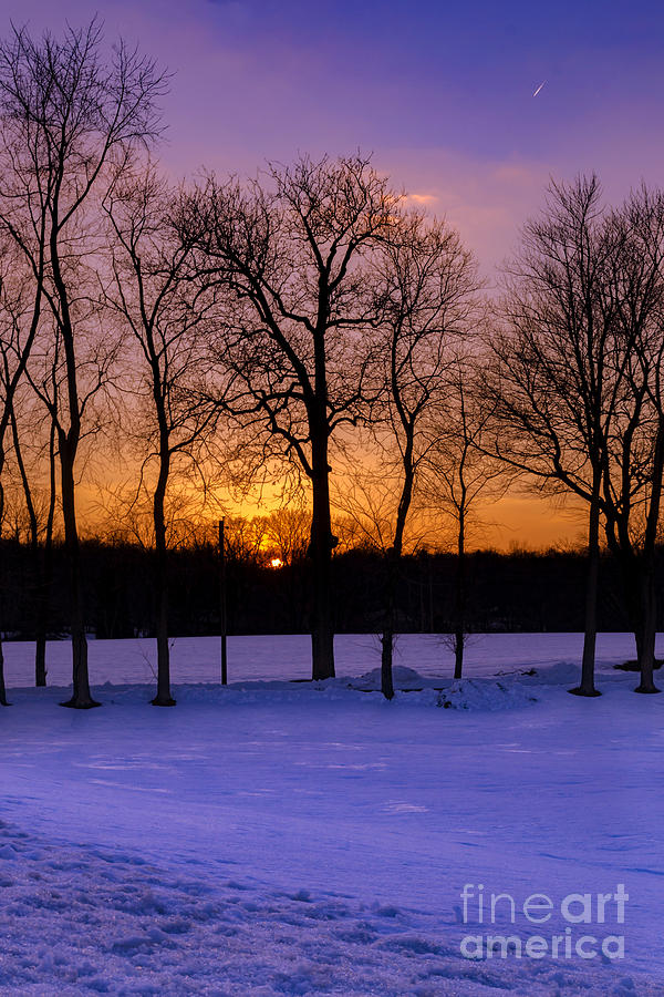 Sunset Photograph - Sunset behind the trees by Rima Biswas