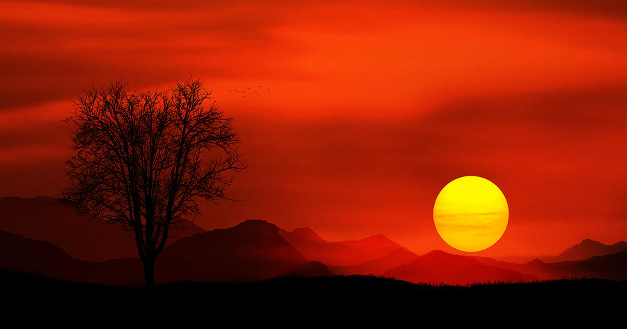 Sunset Photograph by Bess Hamiti