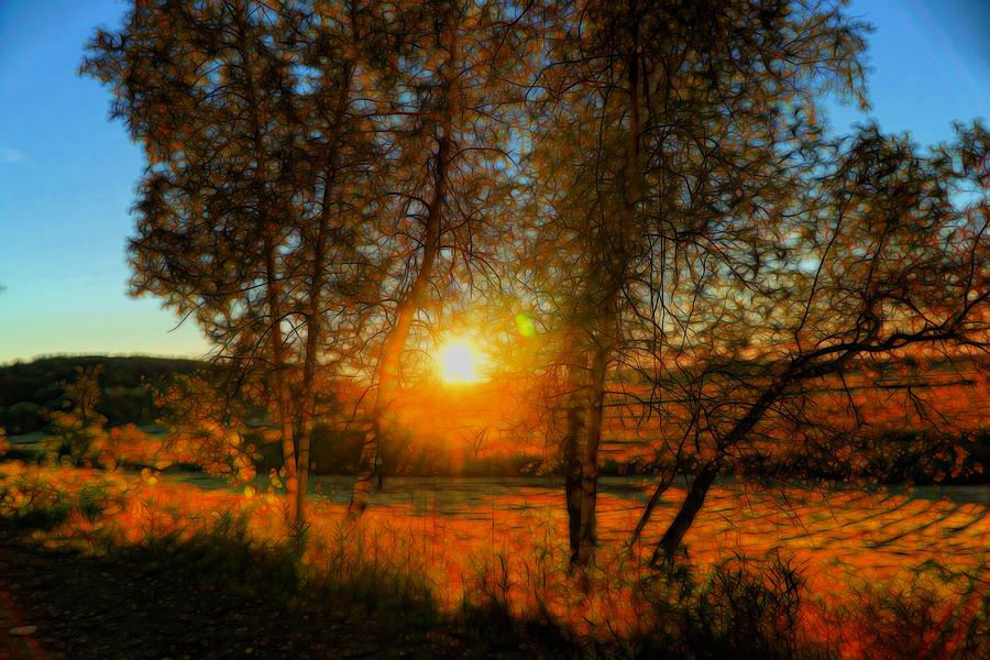 Sunset between the trees Digital Art by Lilia S