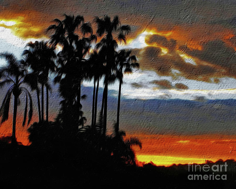 Sunset beyond the Palms Photograph by Kaye Menner