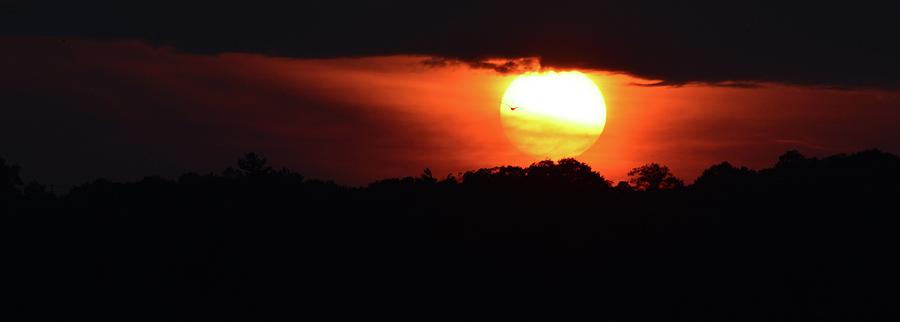 Sunset Bird Three  Photograph by Lyle Crump