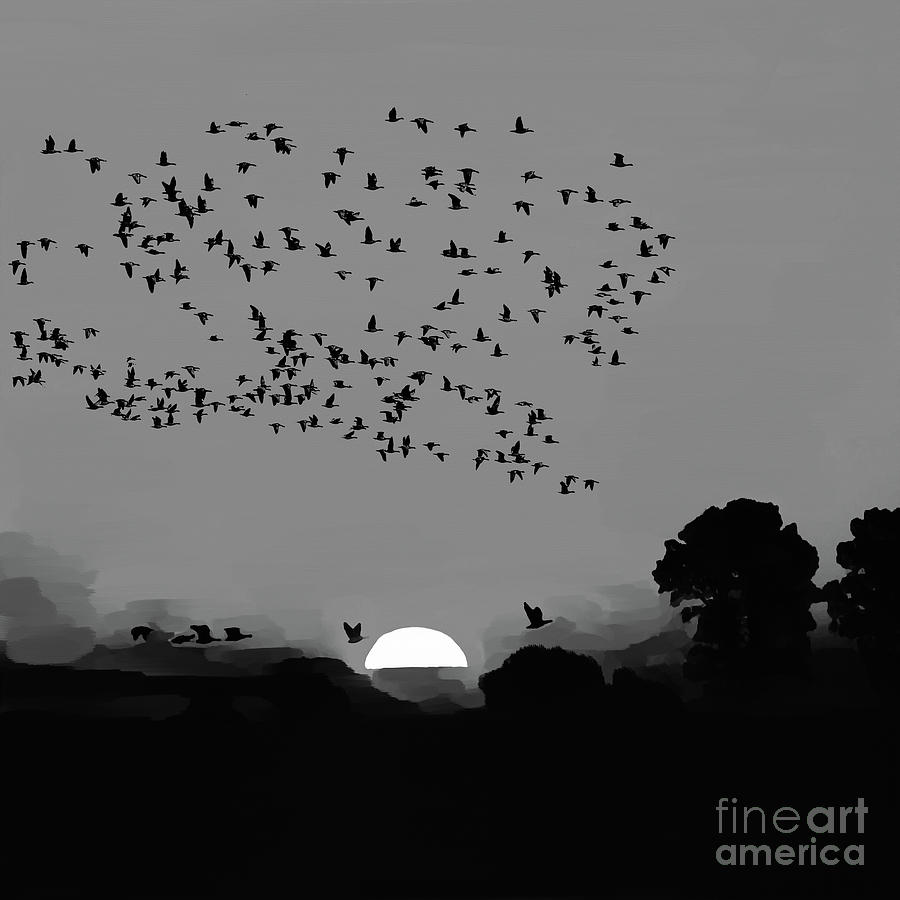Sunset birds flying 02 Painting by Gull G