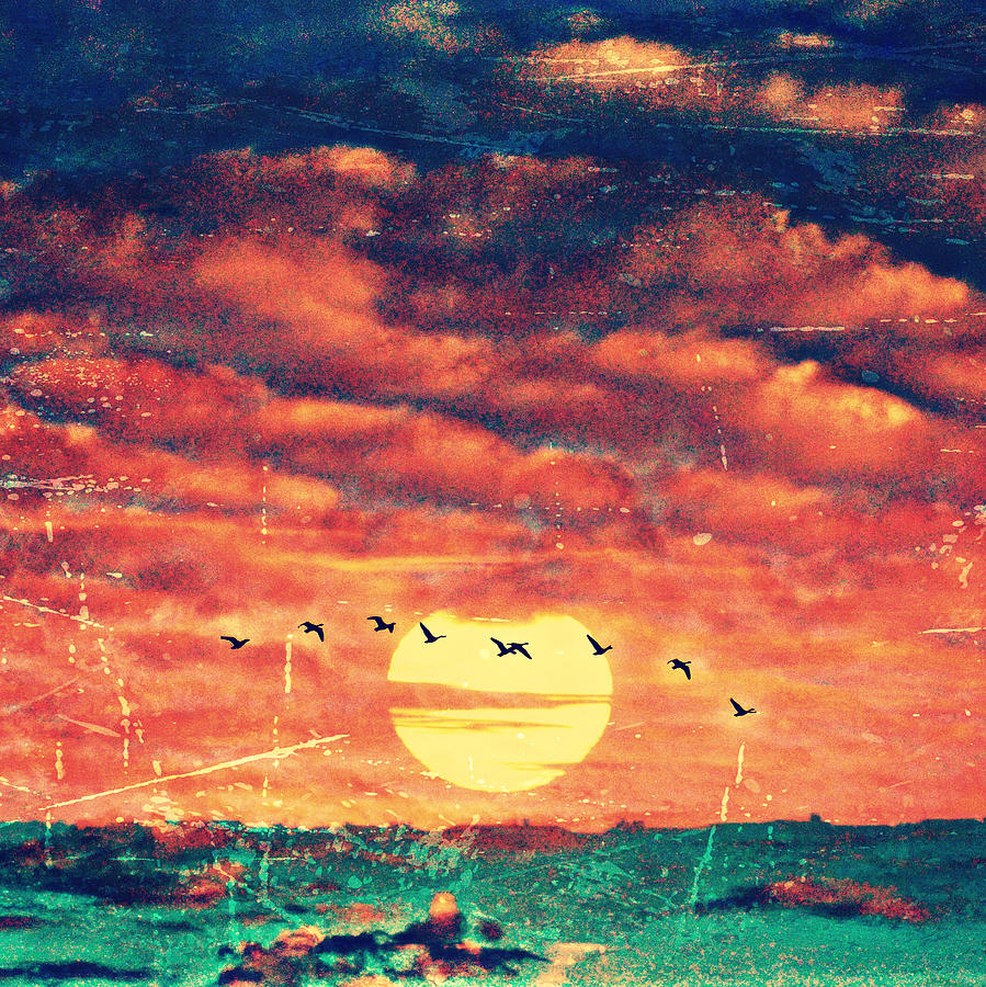 Sunset Birds V2 Digital Art