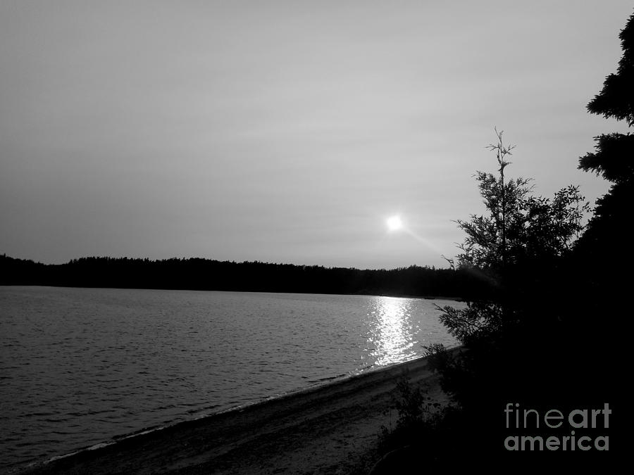 Sunset Black and White Photograph by Wild Rose Studio