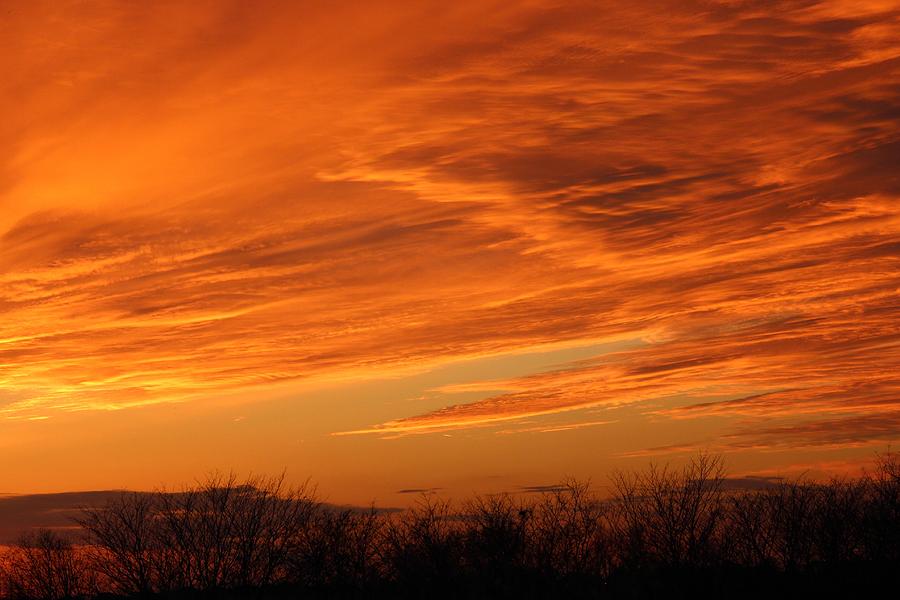 Sunset Blaze Photograph by Connie Grainger - Fine Art America