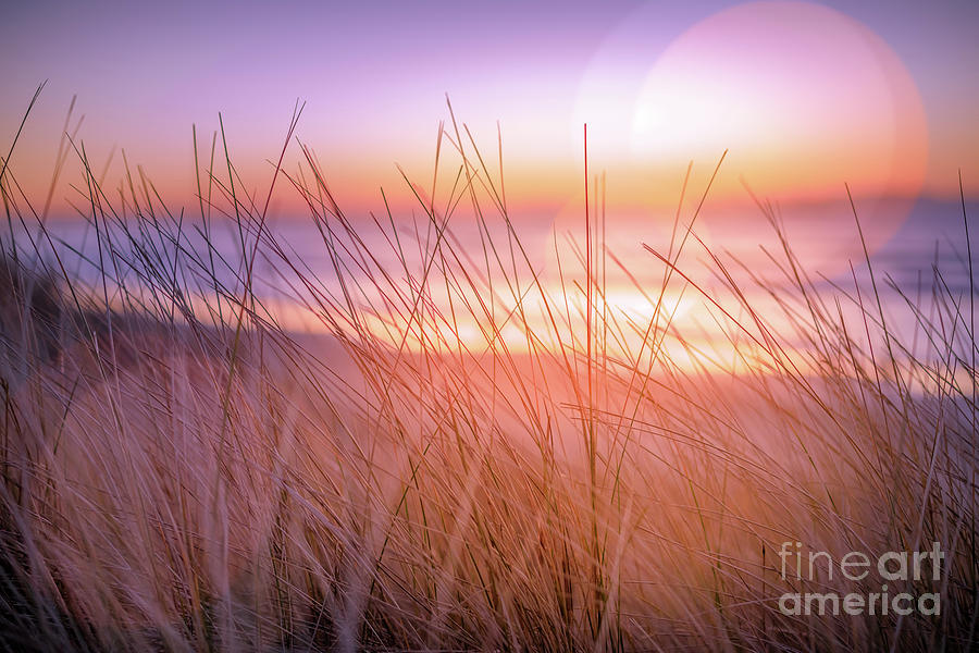 Bokeh Photograph - Sunset Bokeh by Inger Vaa Eriksen Bokeh Photograph - Sunset Bokeh by Inger Vaa Eriksen