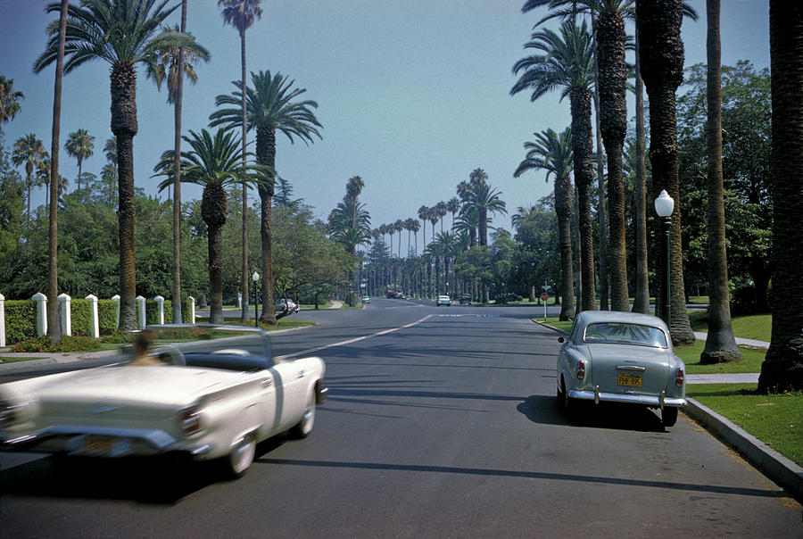 Sunset Boulevard - Sunset Boulevard