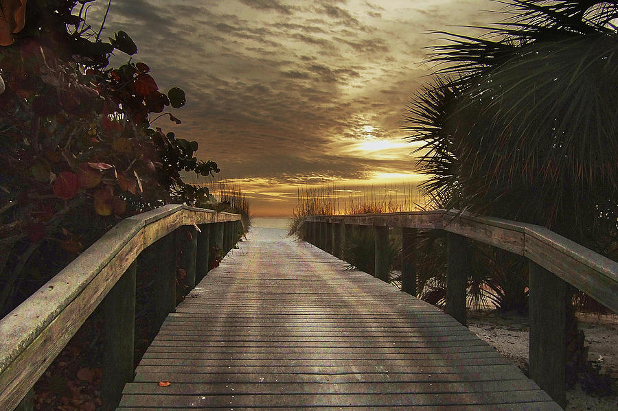 Sunset Bridge Photograph by Steve Ondrus