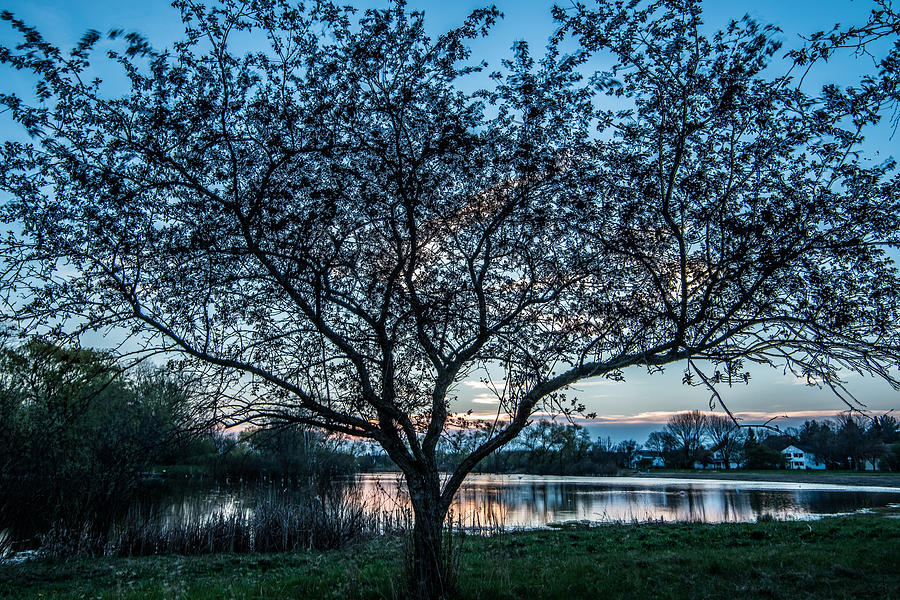 Sunset Photograph - Sunset by the Pond by Randy Scherkenbach