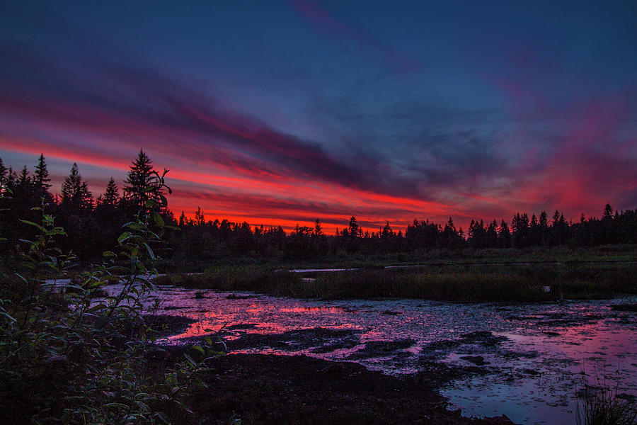 Sunset by the pond Photograph by Sandra Ayala Photography