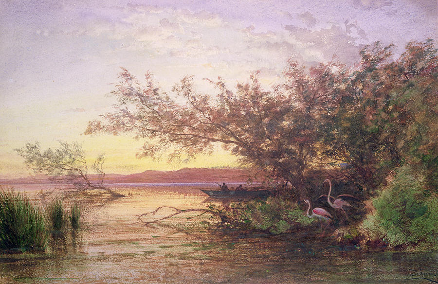 Flamingo Painting - Sunset, Camargue by Felix Ziem Flamingo Painting - Sunset, Camargue by Felix Ziem