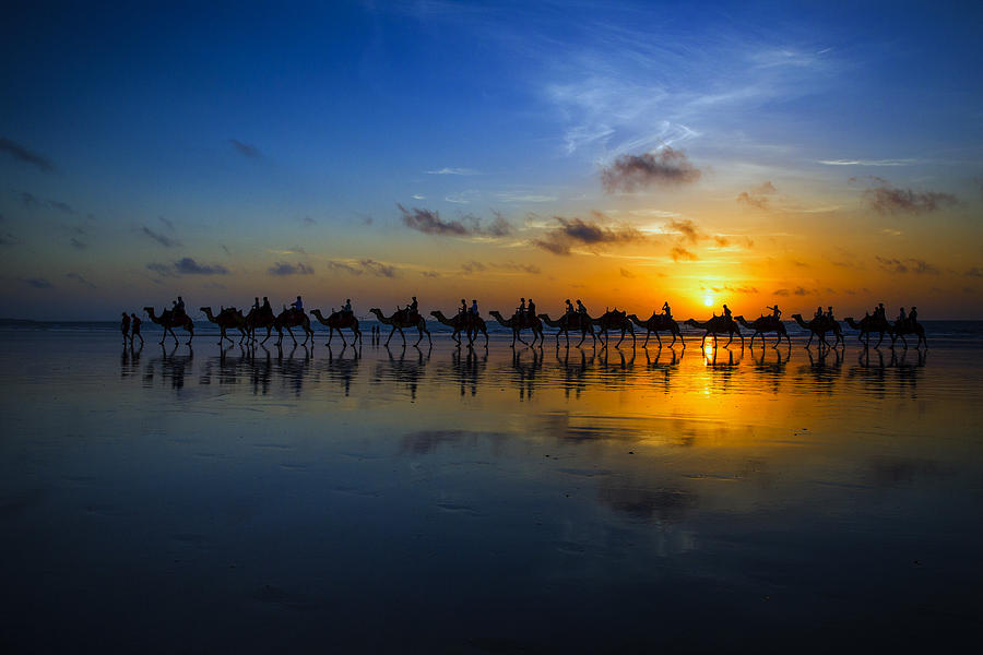Landscape Photograph - Sunset Camel Ride by Louise Wolbers