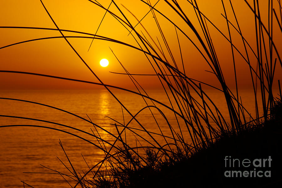 Nature Photograph - Sunset by Carlos Caetano