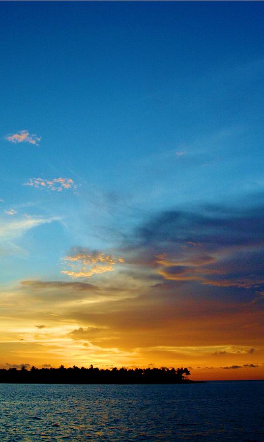 Sunset Celebration at Key West Photograph by Sheryl Unwin