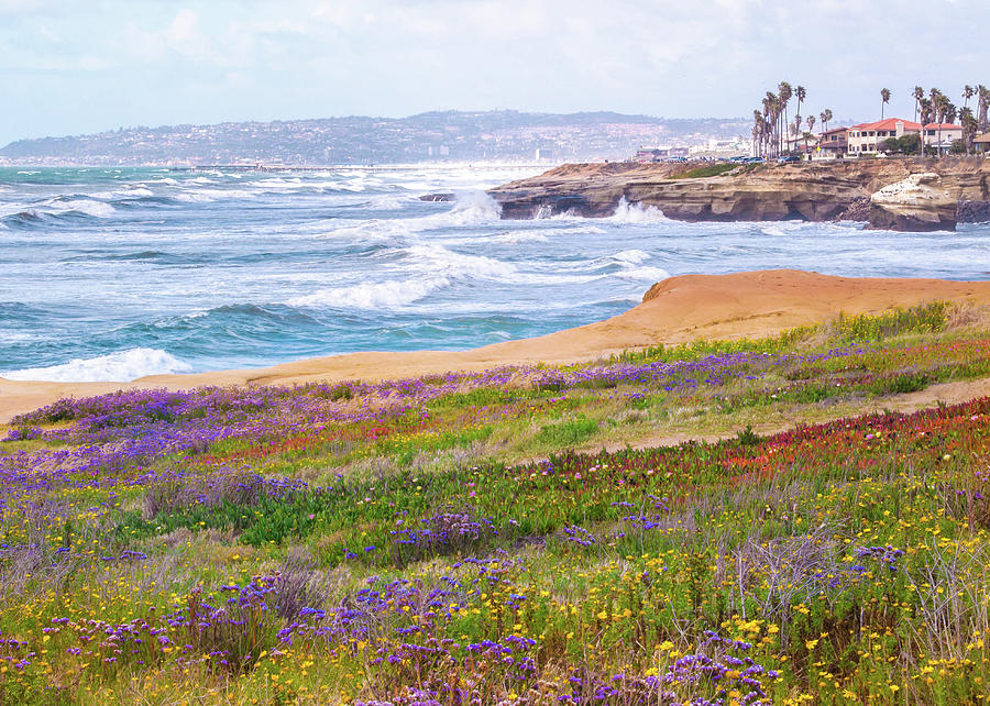 Sunset Cliffs In Spring Photograph