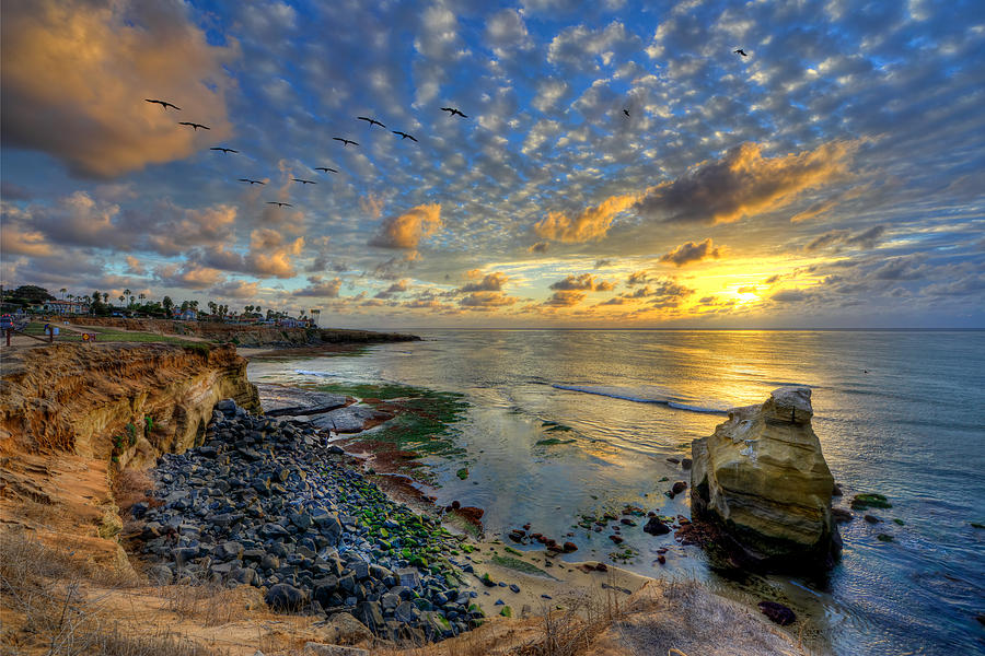 Sunset Cliffs with Brown Pelicans Photograph by Mark Whitt