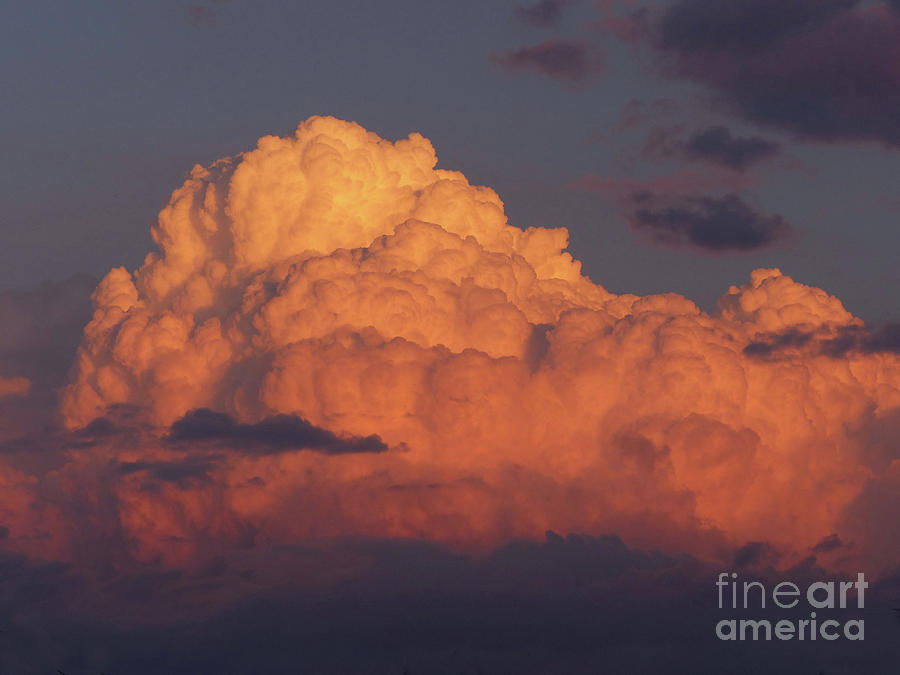 Cumulus Cloud at Sunset Photograph by Phil Banks