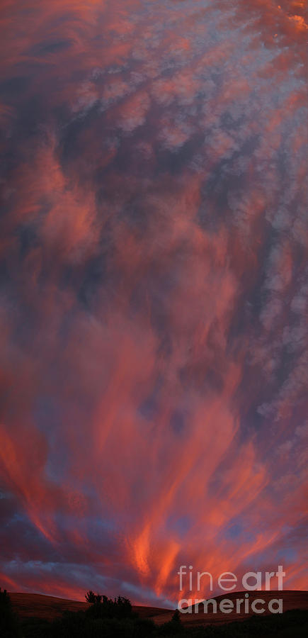 Sunset Clouds Vertical Panorama, Sonoma County, California Photograph by Wernher Krutein