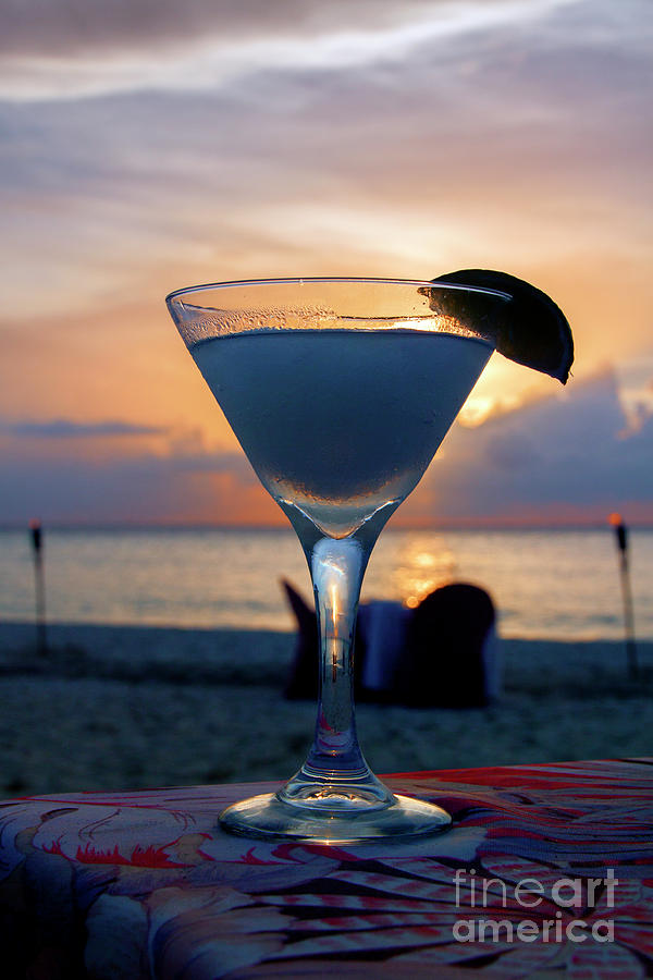 Sunset Cocktail at the Beach Photograph by David Daniel