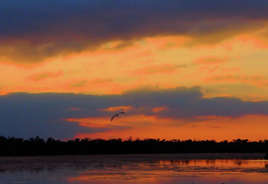 Sunset Colors Photograph by Rosalie Scanlon