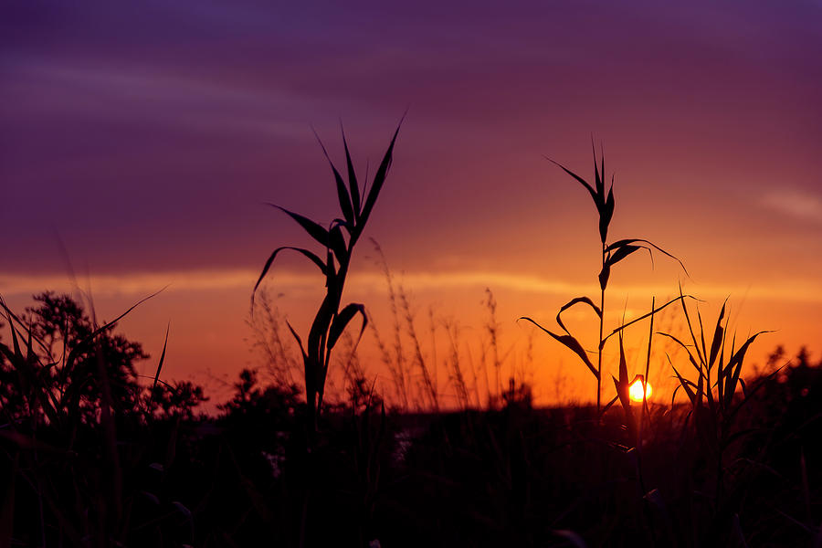 Sunset Photograph - Sunset Colours by Nikos Stavrakas Sunset Photograph - Sunset Colours by Nikos Stavrakas