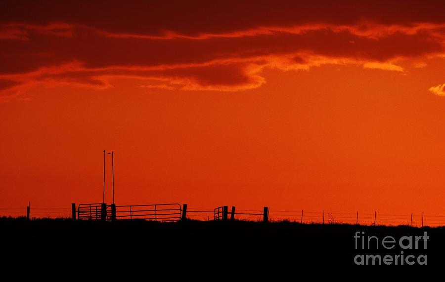 Sunset Corral Photograph by J L Zarek